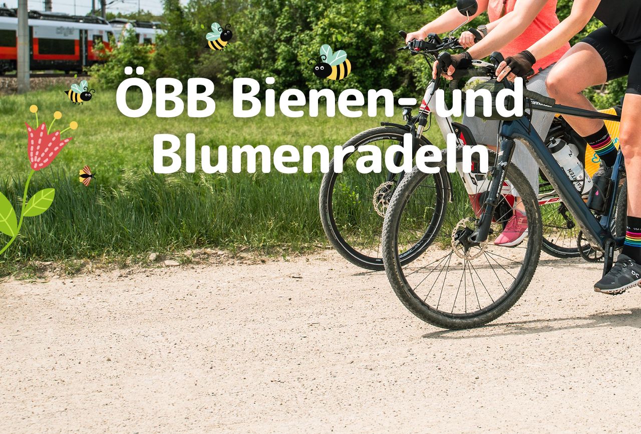 Slide: 